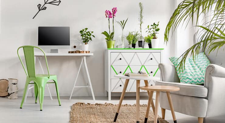 11 tactics to improve air quality without appliances 7 Improve air quality inside your home