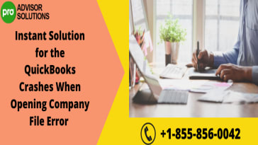 QuickBooks Crashes - Instant Solution