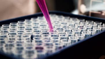 Agrobacterium Competent Cells: A Powerful Tool for Genetic Engineering