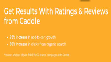 Case Study: Successful Market Research Campaigns Using User-Generated 2