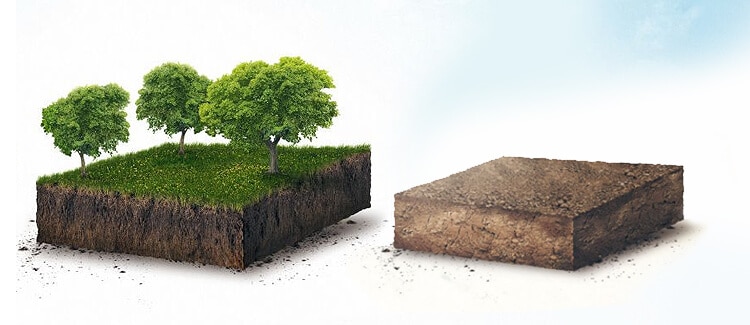 Filing-partition-of-property-with-joint-owners-in-your-absence-can-become-a-nightmare-Beware
