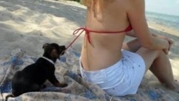 http://p-arasteh.org/wp-content/uploads/2020/05/Funny-Video-2020.ogg