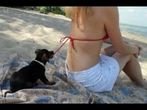 http://p-arasteh.org/wp-content/uploads/2020/05/Funny-Video-2020.ogg