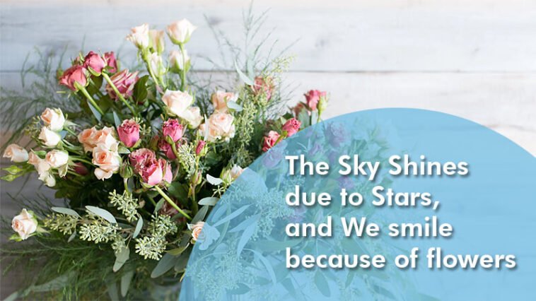 The Sky Shines due to Stars, and We smile because of flowers 7 The Sky Shines due to Stars, and We smile because of flowers