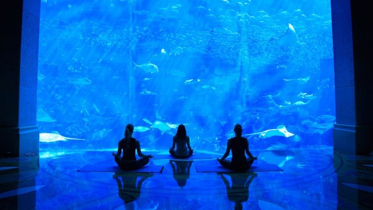 Why Should You Try Underwater Yoga at Dubai Aquarium?