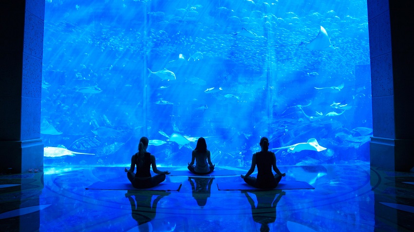 Why Should You Try Underwater Yoga at Dubai Aquarium?