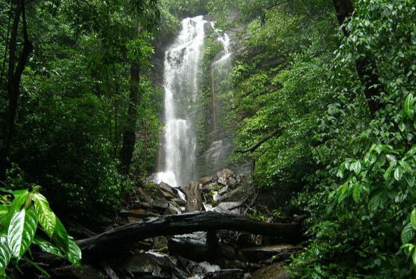 Things to Know About Kodachadri Trek 8 Hidlumane Falls