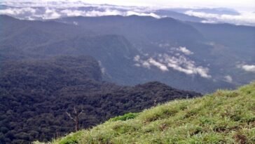 Things to Know About Kodachadri Trek