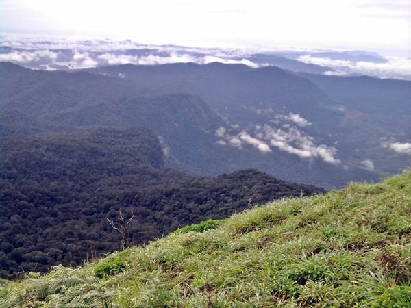 Things to Know About Kodachadri Trek 7 Things to Know About Kodachadri Trek