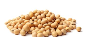 The Benefits Of Sustainable Soy And How To Incorporate It Into Your Diet