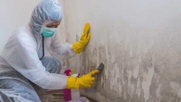 Orlando Mold Remediation: Ensuring a Healthy Environment 2