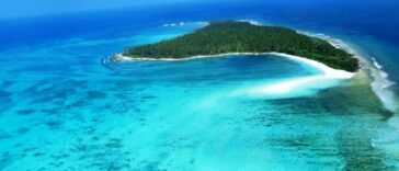 Top Hotels and Resorts in Lakshadweep Unsplash