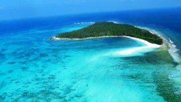 Top Hotels and Resorts in Lakshadweep Unsplash