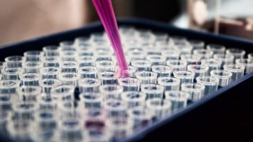 Agrobacterium Competent Cells: A Powerful Tool for Genetic Engineering